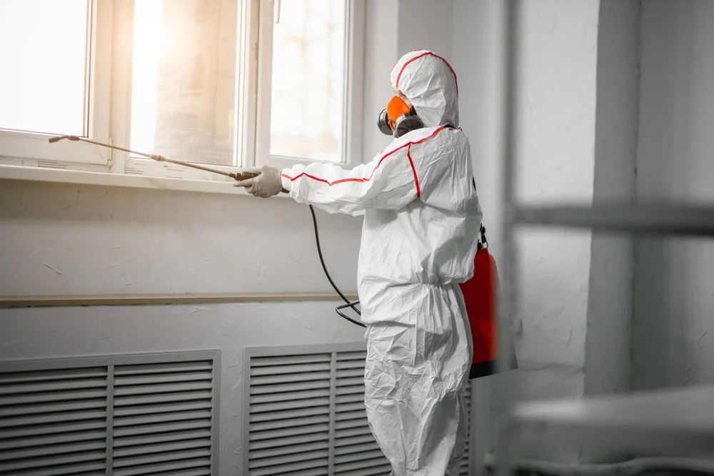 Professional mold remediation services in Magnolia Springs, AL